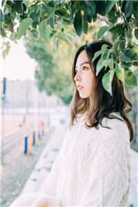 爸爸书房里的秘密小说苏倩林霜完结版