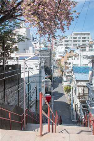 沈昭祁东结局免费阅读昭昭如愿岁岁安番外