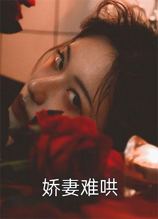 残雪春消，爱意东流小说全文免费阅读沈柔婷傅辰逸