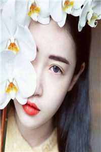 春风折落旧蔷薇小说姜崇霖柳瑶完结版